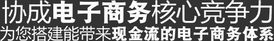 協城電子商務核心競爭力,為您搭建能帶來現金流的電子商務體系